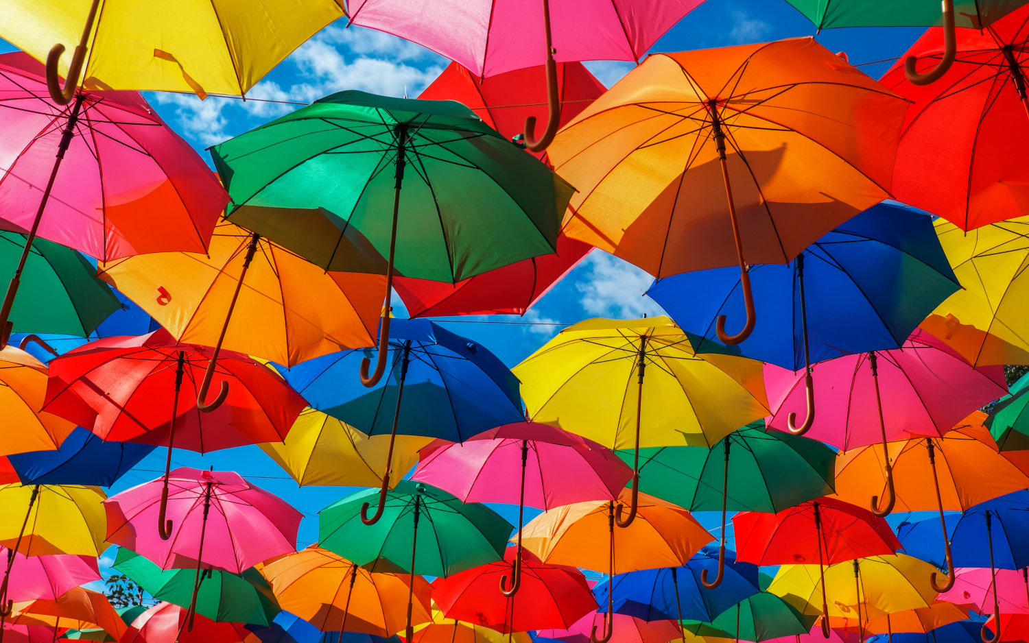 Lots of colorful umbrellas in the sky. City decoration